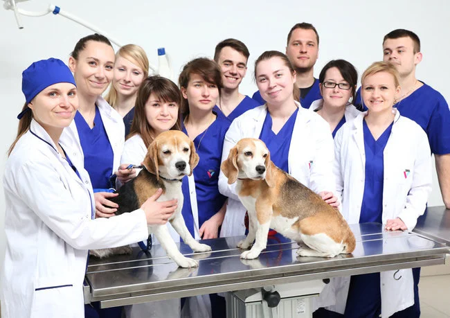 Project — Poznań University of Life Sciences